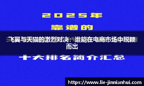 飞翼与天猫的激烈对决：谁能在电商市场中脱颖而出